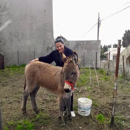 U Zu Peppino Alloggio per agriturismo *