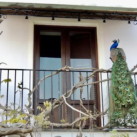 U Zu Peppino Alloggio per agriturismo Città di Lipari